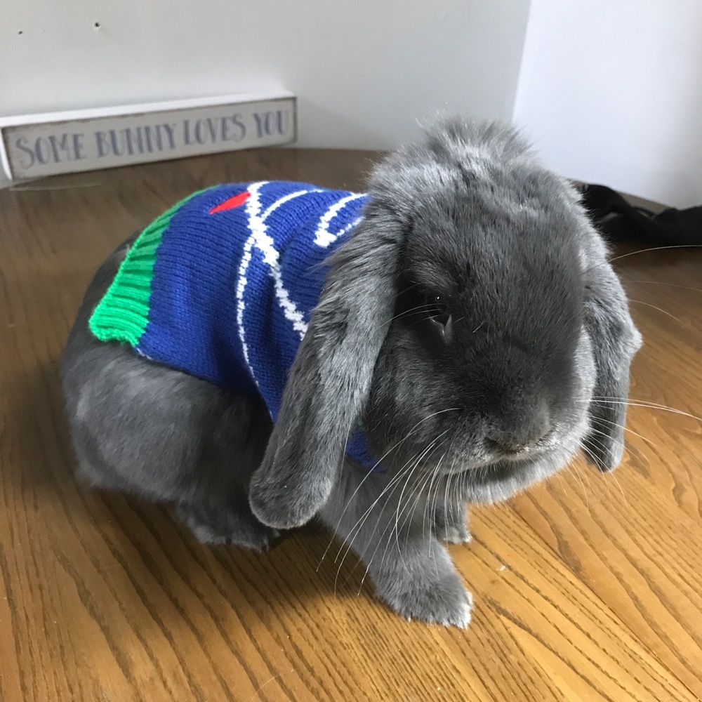 Meet your Posher, Irena